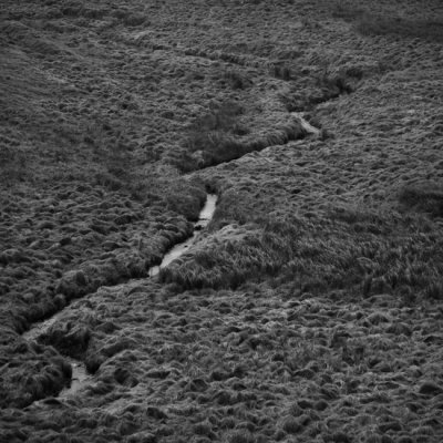 ArtGo Photography - Luboš Wišniewski
